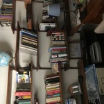 Dub Bookshelves