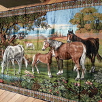 horse rug