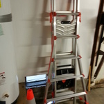 quality ladder