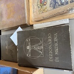 Img 4755