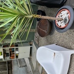 Img 0284
