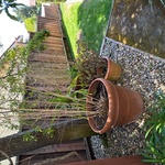Img 0882