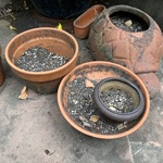 Img 4913