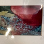 Img 5591