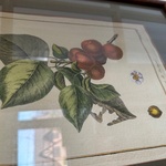 Img 7477