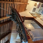 Img 7358