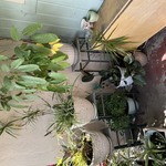 Img 7252