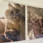 Img 7623