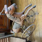 Img 7954