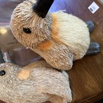 Img 7978