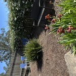 Img 7979