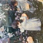 Img 7997