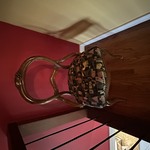 Img 9947