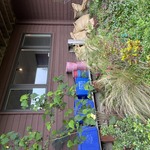 Img 6859