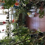 Img 0287