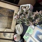 Img 0926