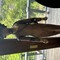 Img 1044