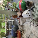 Img 1269