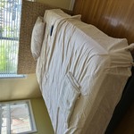 Img 1524