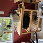 Img 7236
