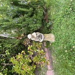 Img 7274