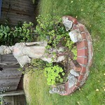 Img 7280