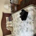 Img 2813