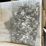 Img 7410
