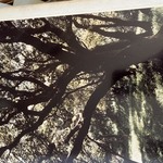 Img 7578