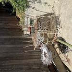 Img 7630