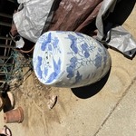 Img 7632