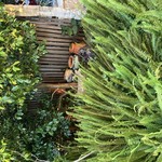 Img 4101