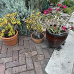 Img 4363