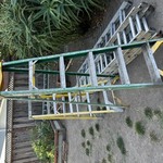 Img 4366