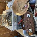 Img 4375