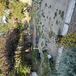 Img 4391
