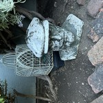 Img 4392