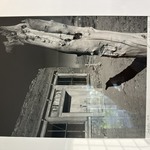 Img 4421