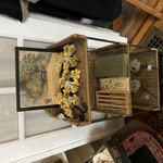 Img 7718