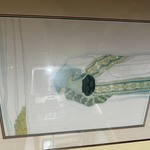 Img 5755