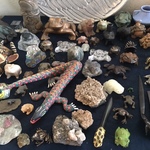 minerals and collectible frogs