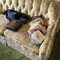 vintage couch