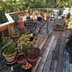 patio furniture and potted plants
