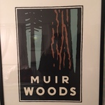 Muir woods framed litho