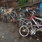 collection of vintage bikes