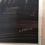 Carlo signature