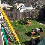 backyard ladders