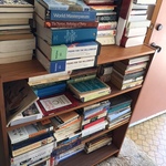 Albany Small Bookshelf