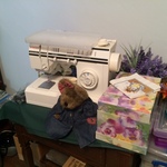 Rich Sewing Machine